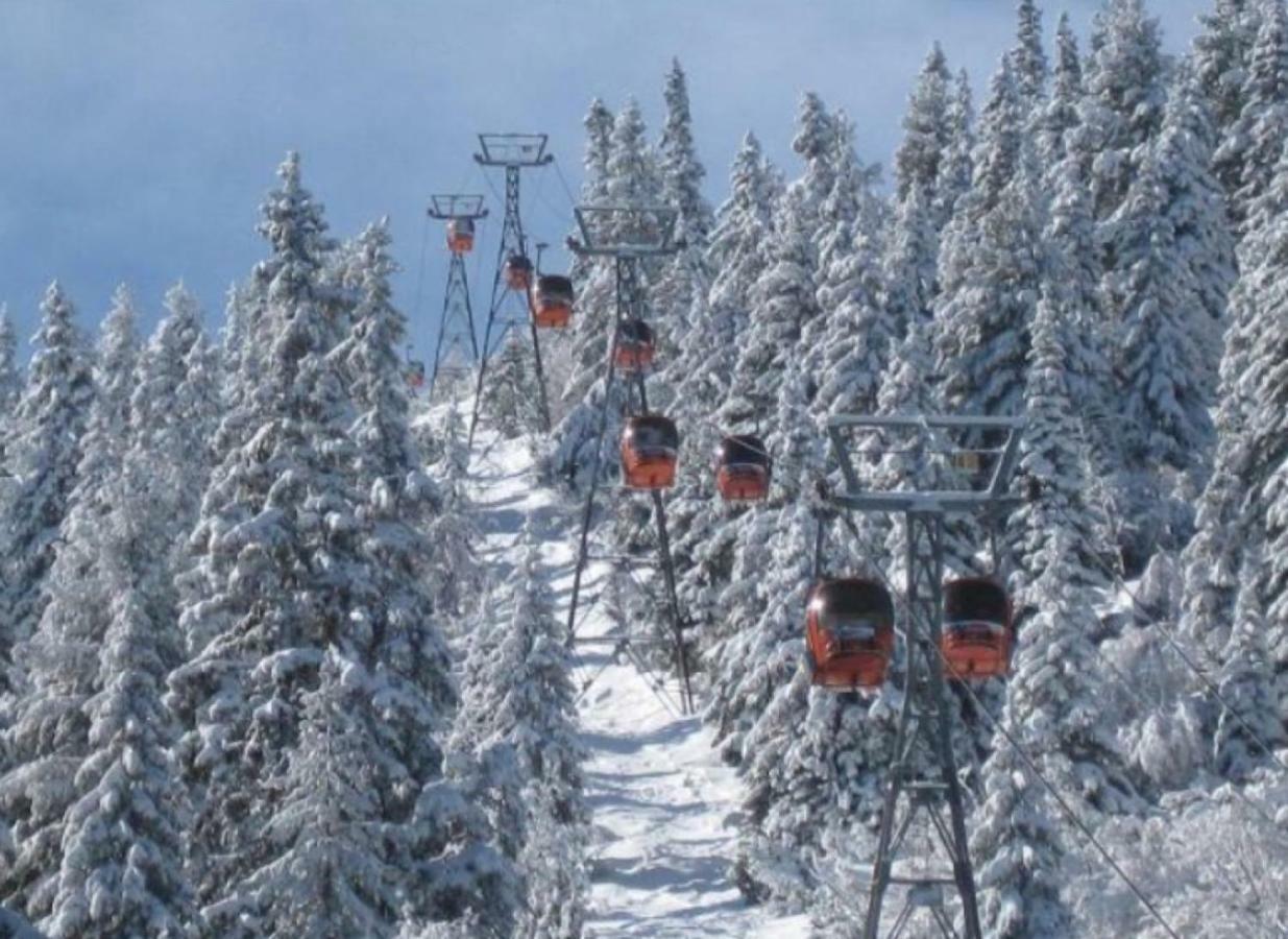 Borovets Gardens Studio D36 Exterior foto